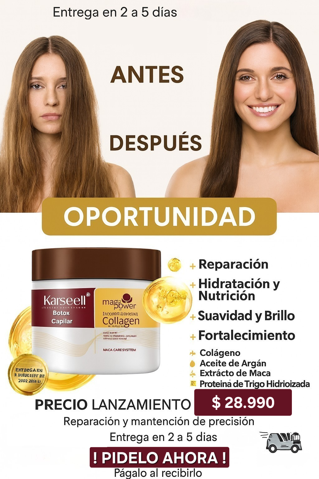 - 𝐊𝐚𝐫𝐬𝐞𝐞𝐥𝐥 𝐁𝐨𝐭𝐨𝐱 𝐂𝐚𝐩𝐢𝐥𝐚𝐫